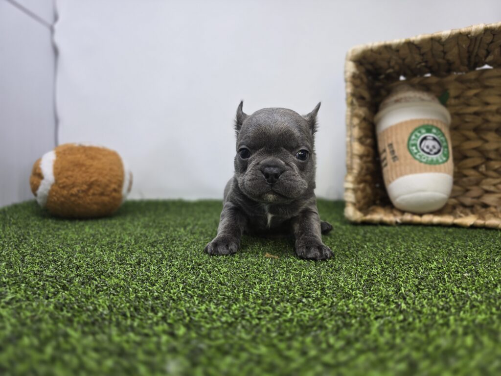 Heath - Frenchton - Image 2