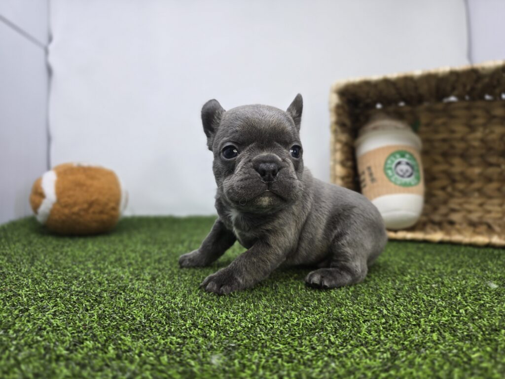 Heath - Frenchton - Image 5